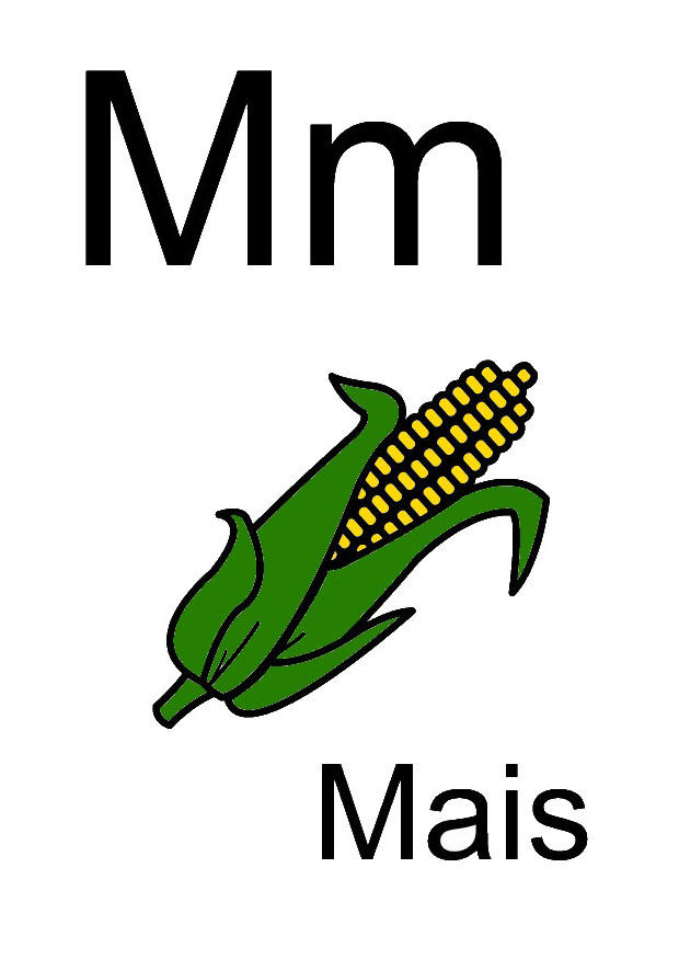m imagem m