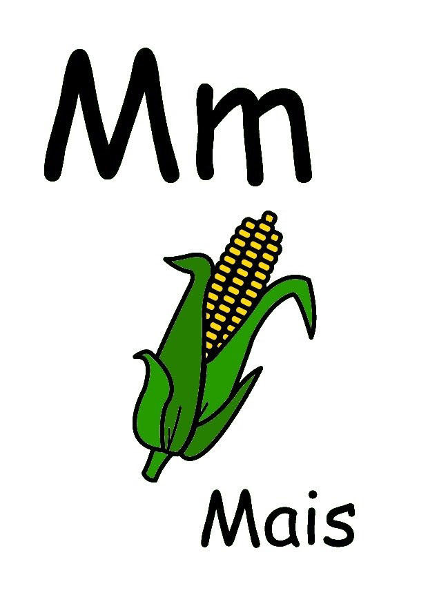 m imagem m