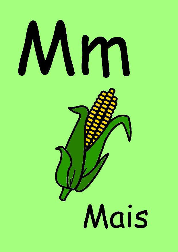 m imagem m