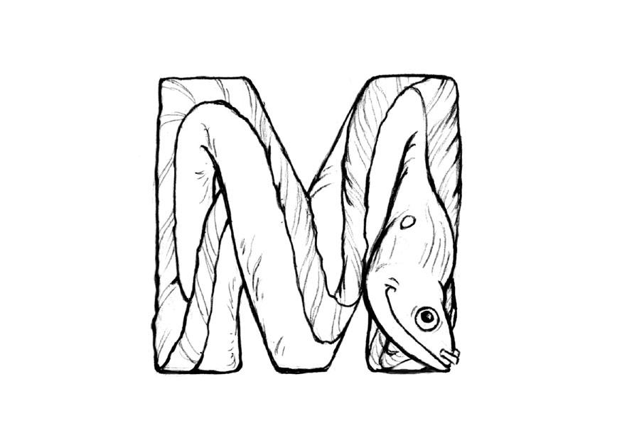 m-moray Página para colorir m-moray
