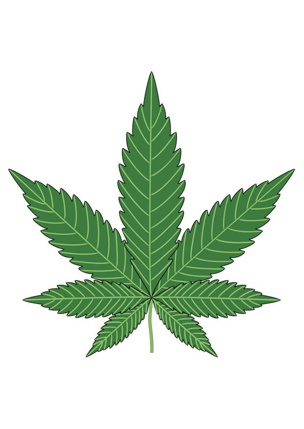 maconha imagem maconha