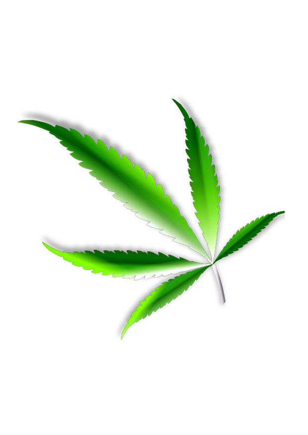 maconha imagem maconha