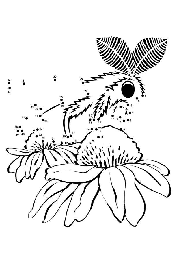 Página para colorir mariposa