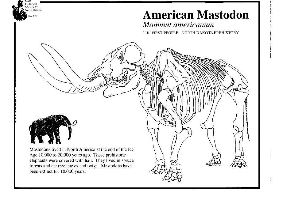 Página para colorir mastodonte 