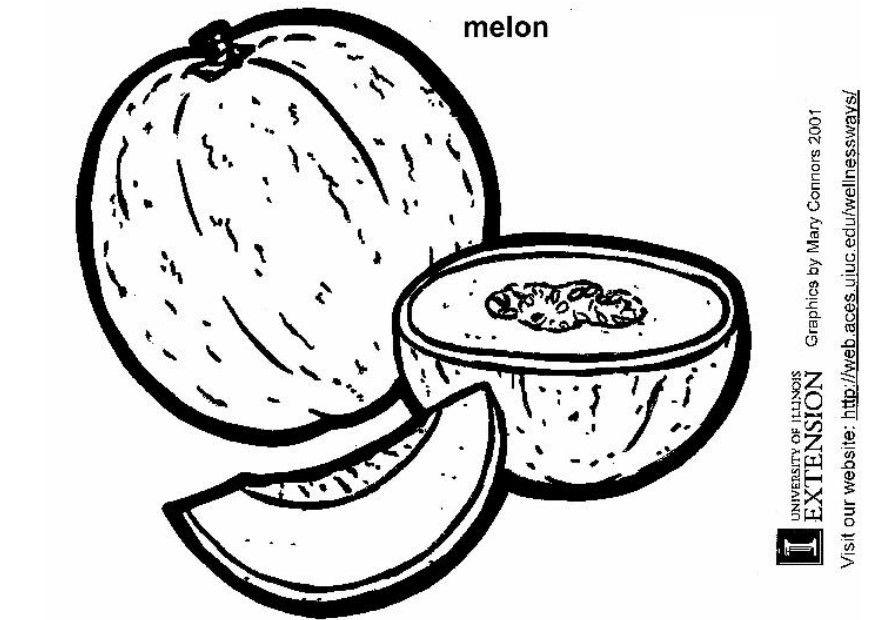 melA£o Página para colorir melA£o