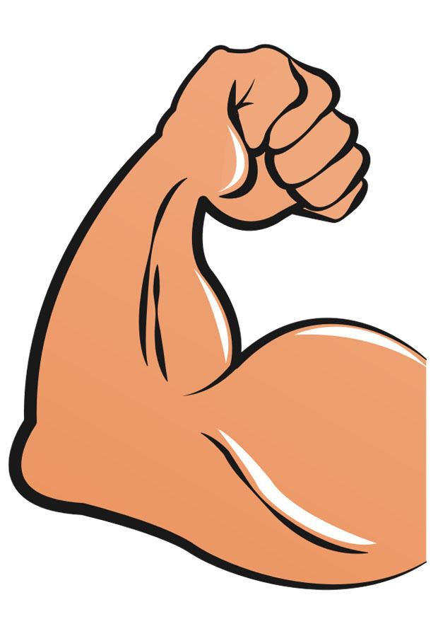 musculoso imagem musculoso
