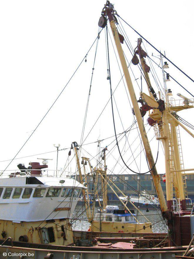 navio pesqueiro Foto navio pesqueiro