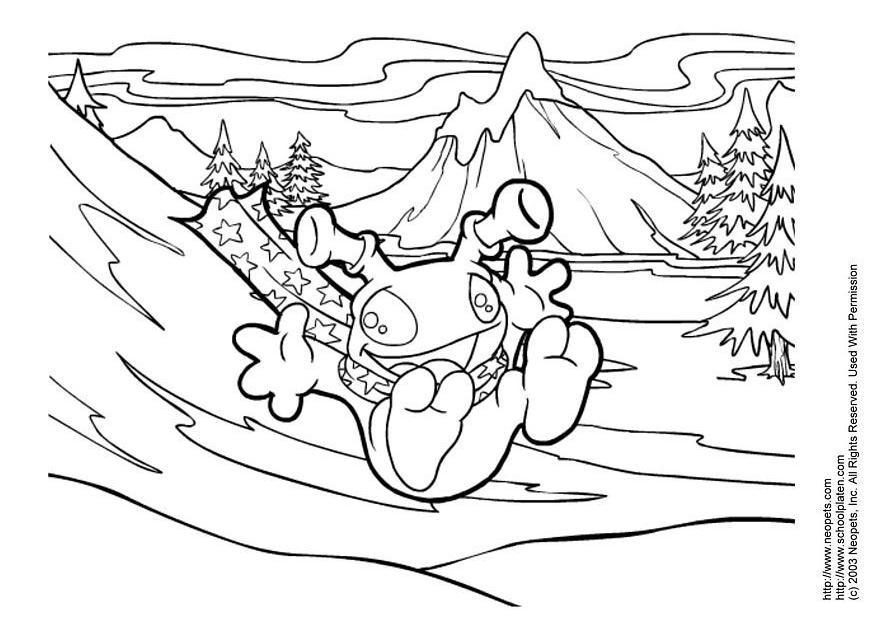 neopets Página para colorir neopets