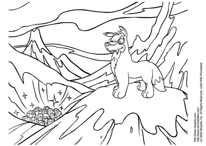 neopets Página para colorir neopets