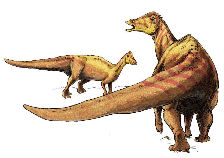 niponossaurus imagem niponossaurus