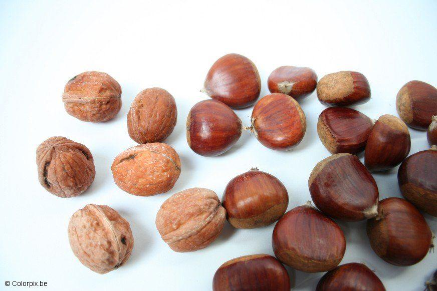 Foto nozes e castanhas