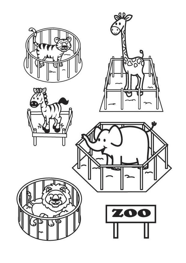 Página para colorir o zoolA³gico 