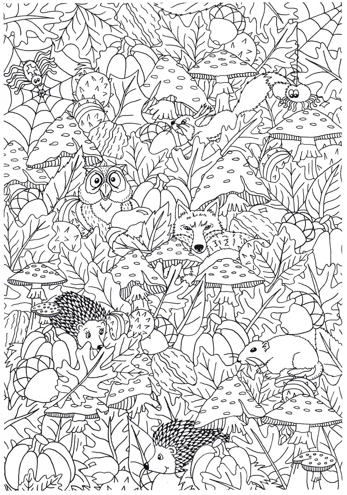 outono na floresta Página para colorir outono na floresta