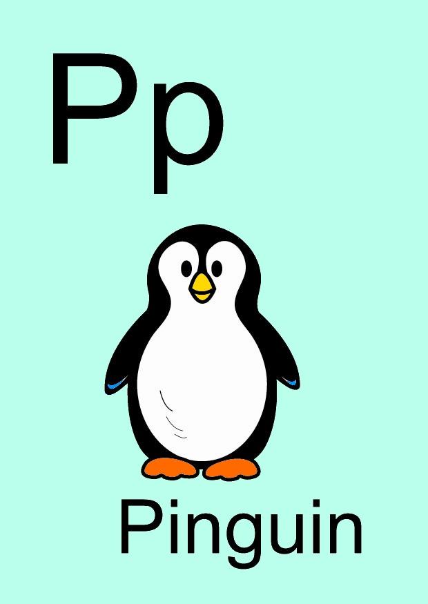 p imagem p