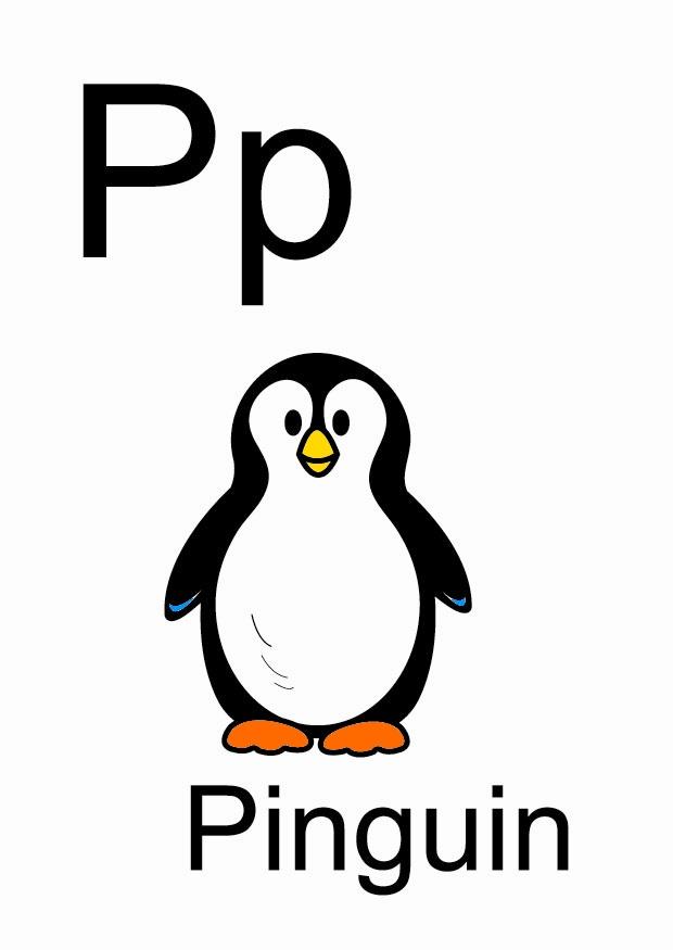 p imagem p