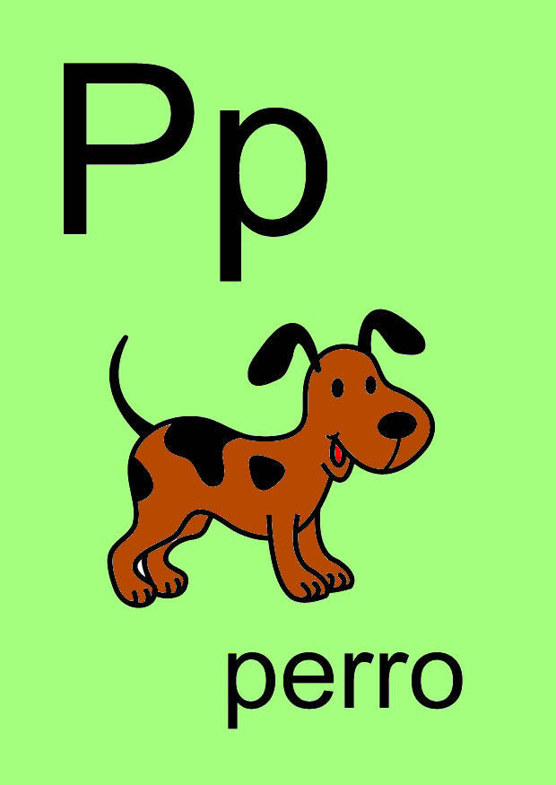 p imagem p