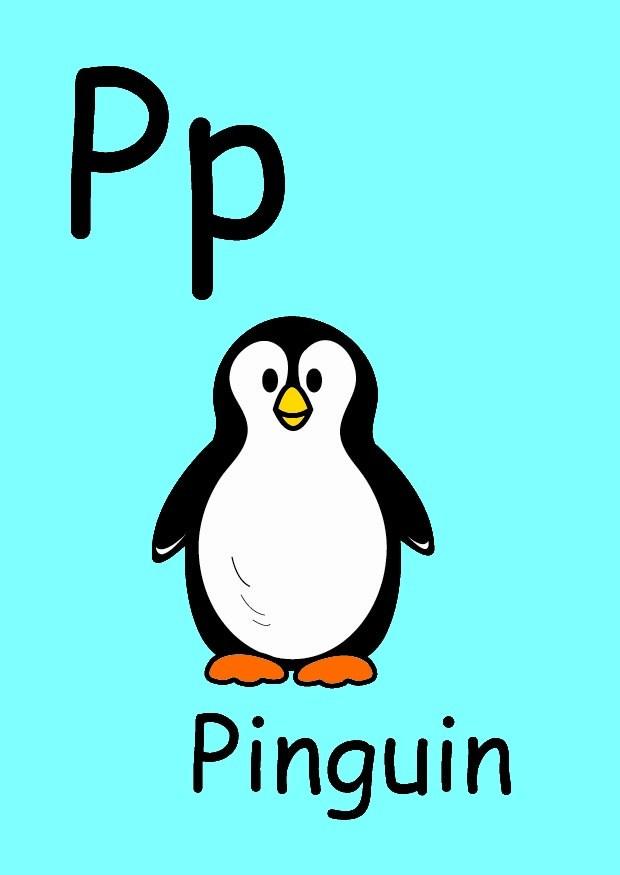 p imagem p