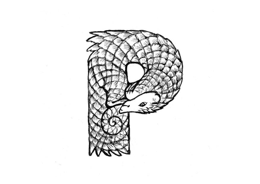 p-pangolin Página para colorir p-pangolin