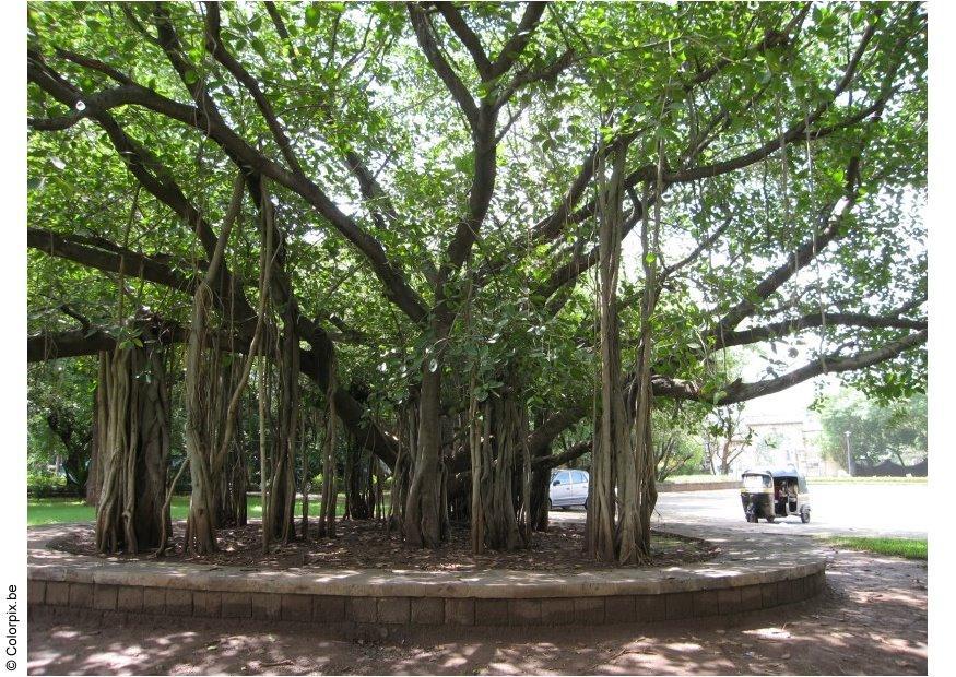 parque do museu de ghandi em puna Foto parque do museu de ghandi em puna