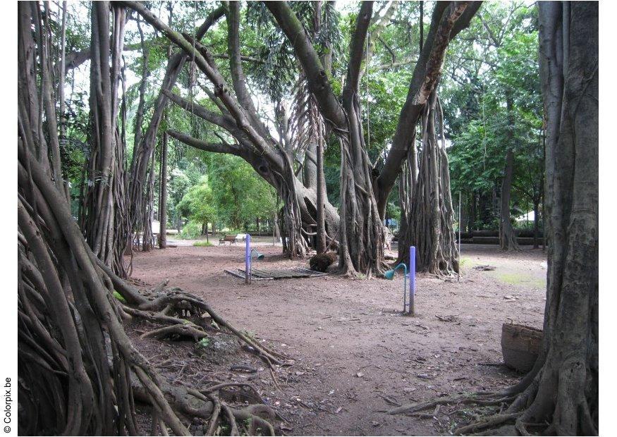 Foto parque em puna