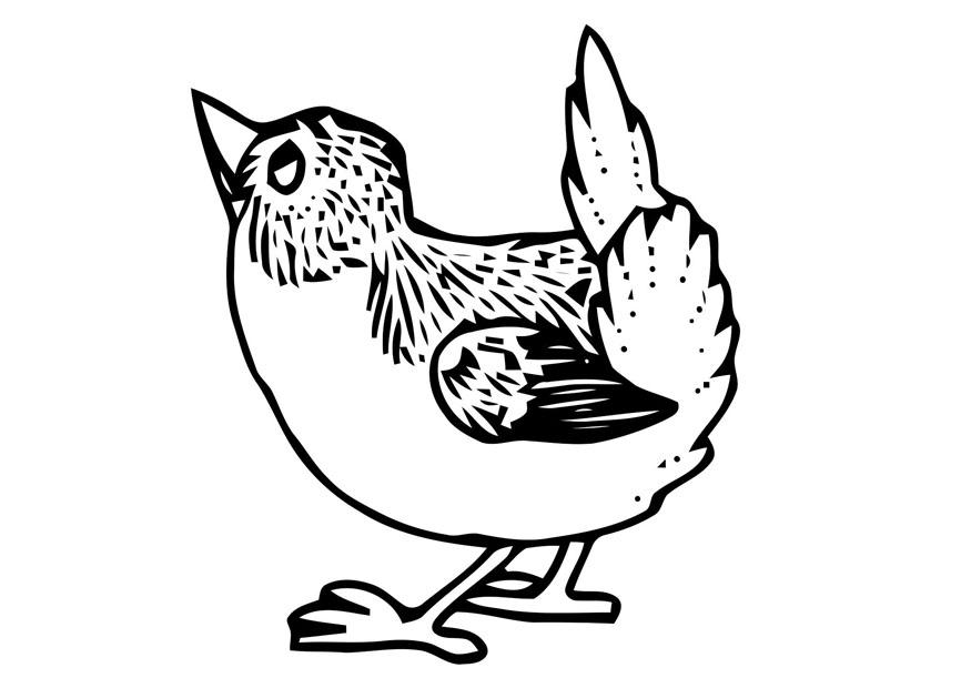 passarinho Página para colorir passarinho