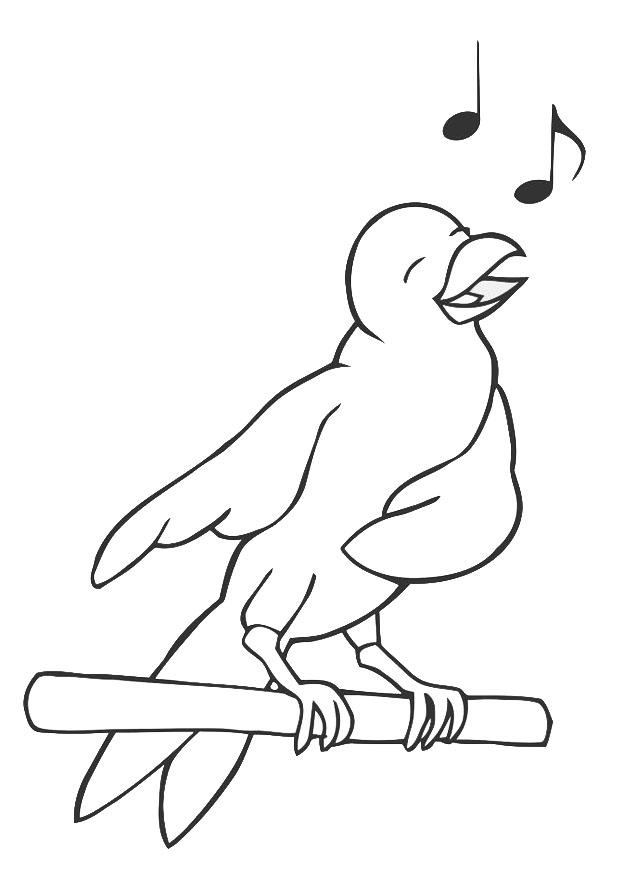 passarinho cantando Página para colorir passarinho cantando
