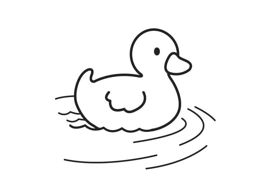 patinho Página para colorir patinho