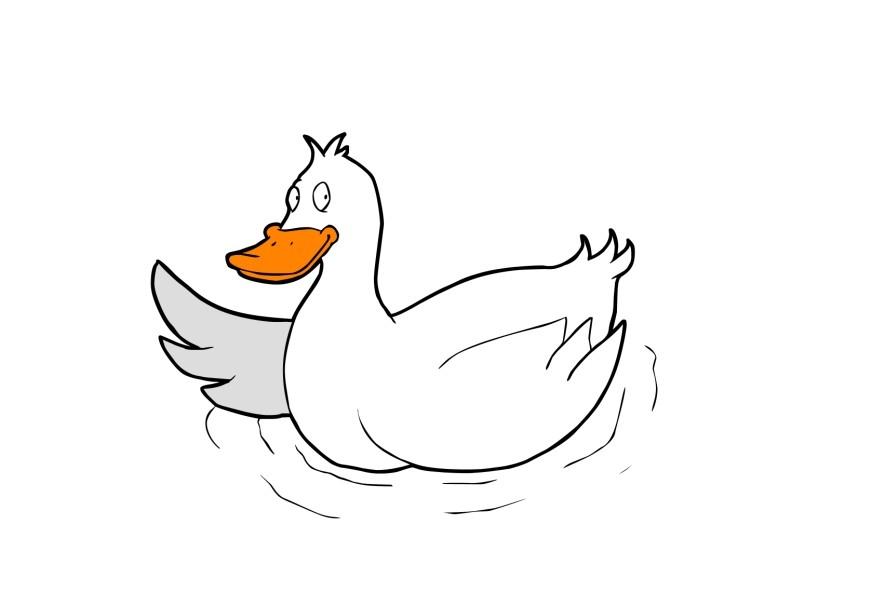 pato imagem pato
