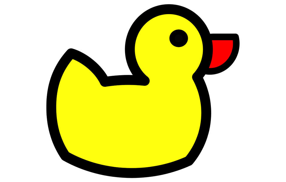 pato imagem pato