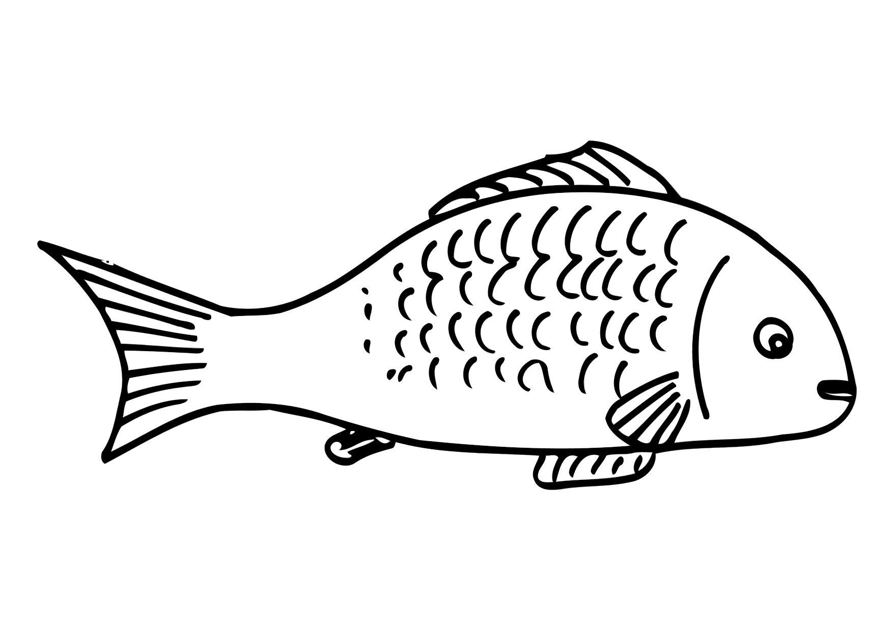 peixe Página para colorir peixe