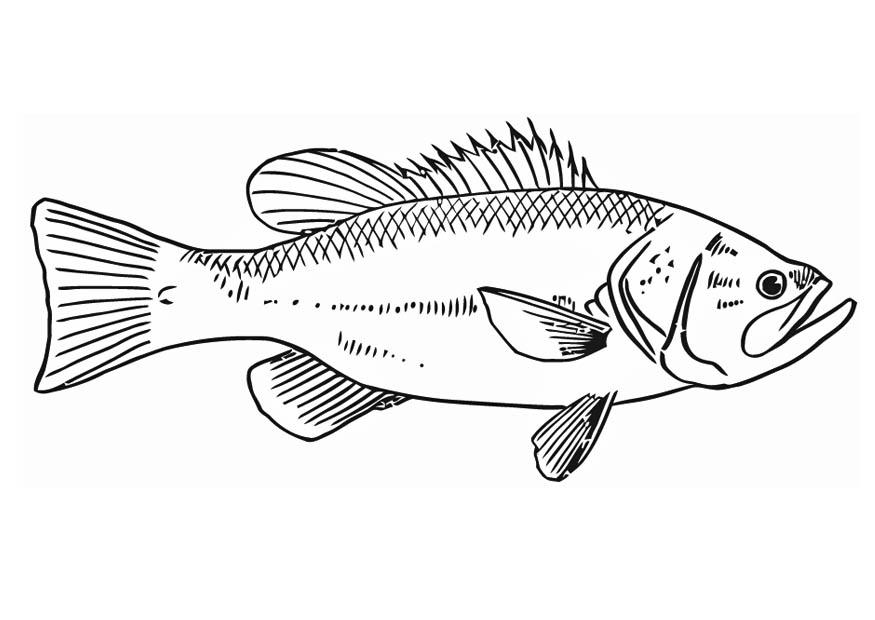 peixe Página para colorir peixe