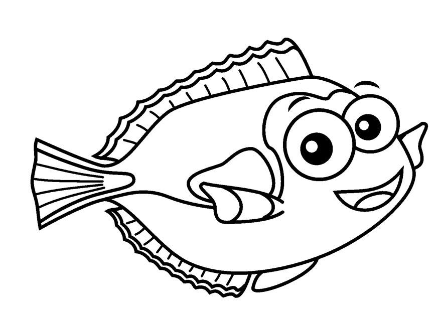 peixe cirurgiA£o Página para colorir peixe cirurgiA£o