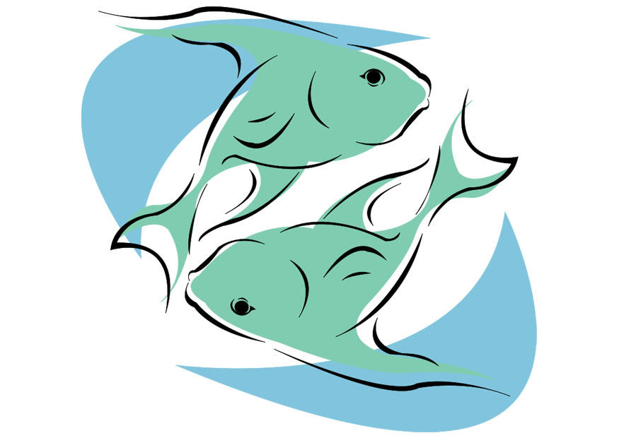 peixes imagem peixes