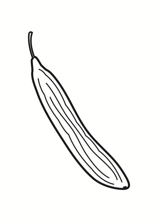 pepino Página para colorir pepino