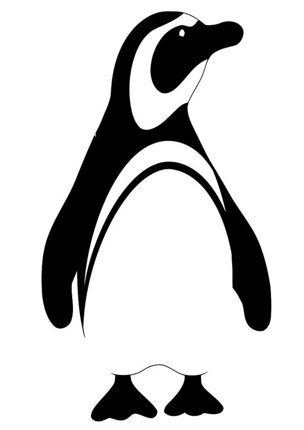 pinguim Página para colorir pinguim