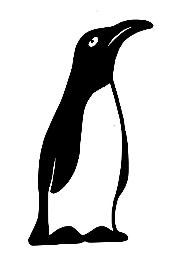 pinguim Página para colorir pinguim