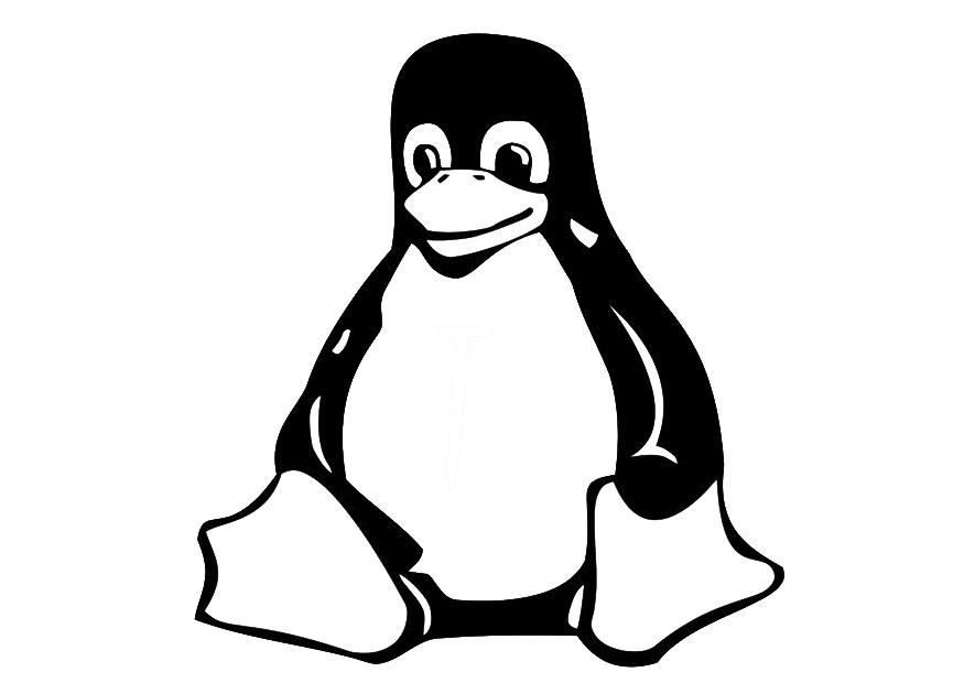 pinguim sentado Página para colorir pinguim sentado