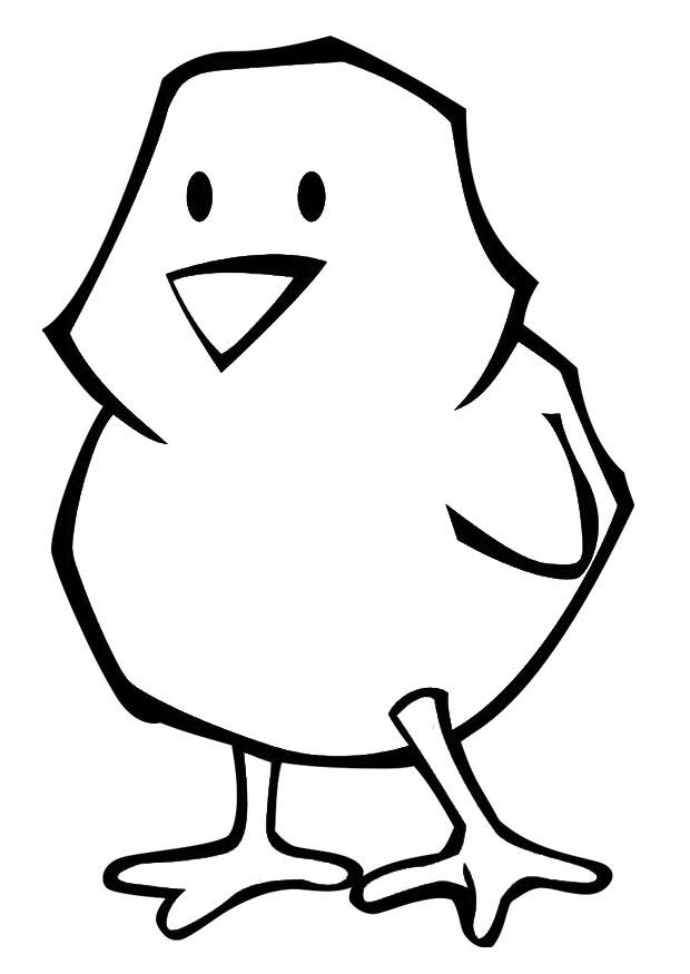 pintinho da pA¡scoa Página para colorir pintinho da pA¡scoa