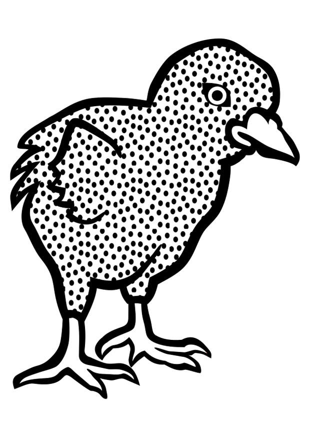 pinto Página para colorir pinto
