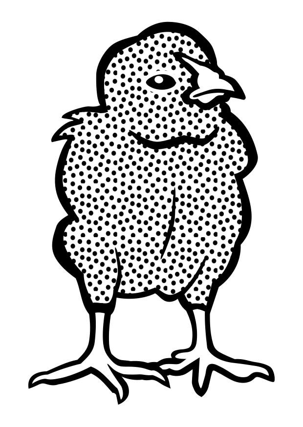 pinto Página para colorir pinto