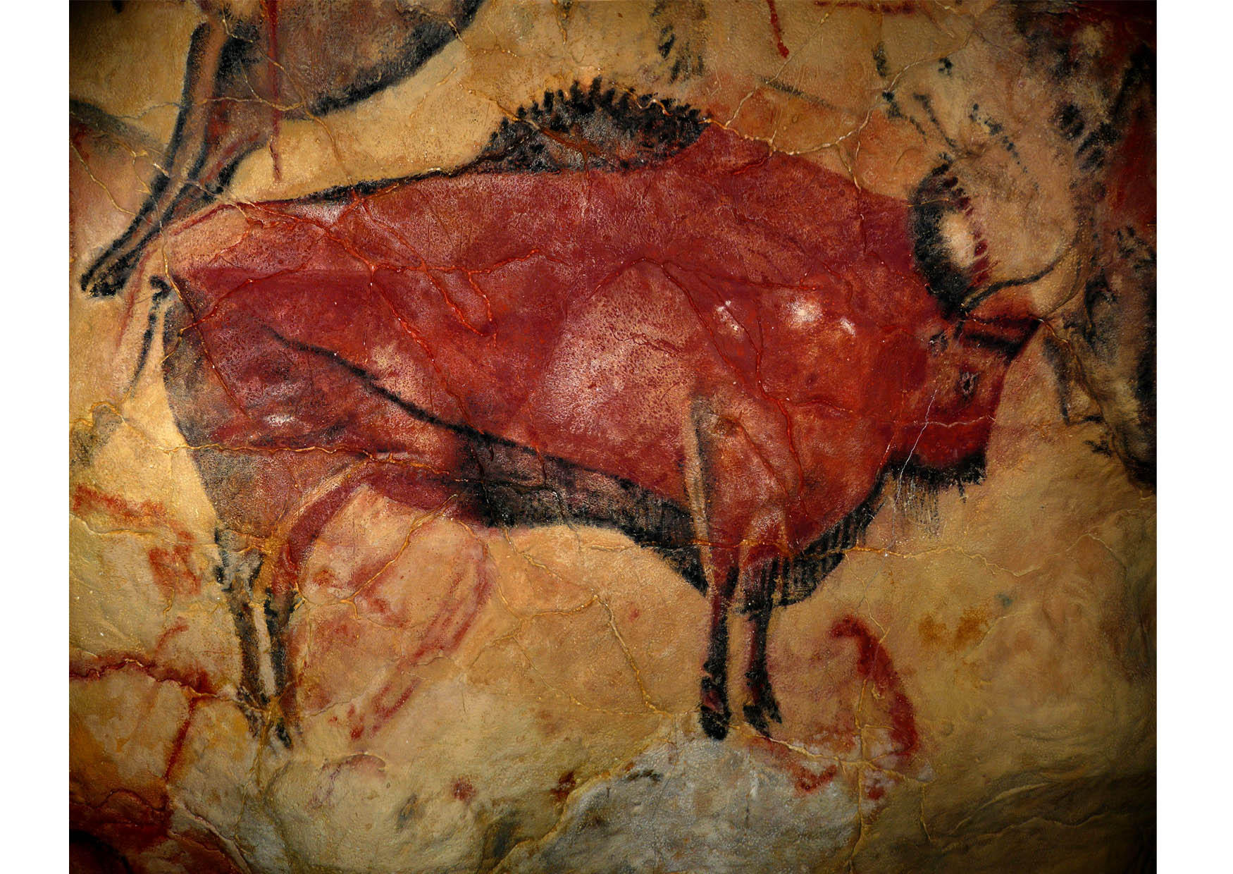 Foto pintura prA©-histA³rica - bisonte