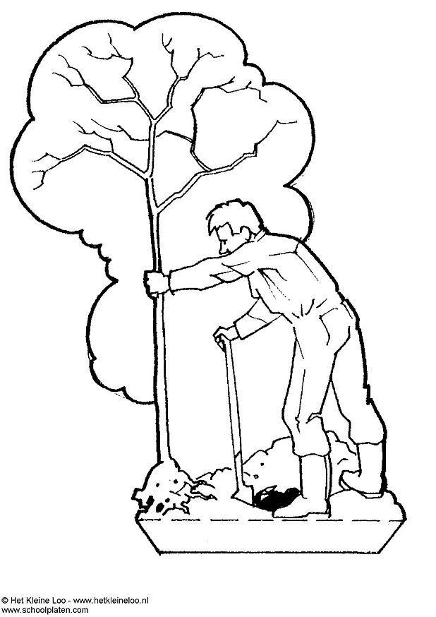 plantar A¡rvores Artesanato plantar A¡rvores