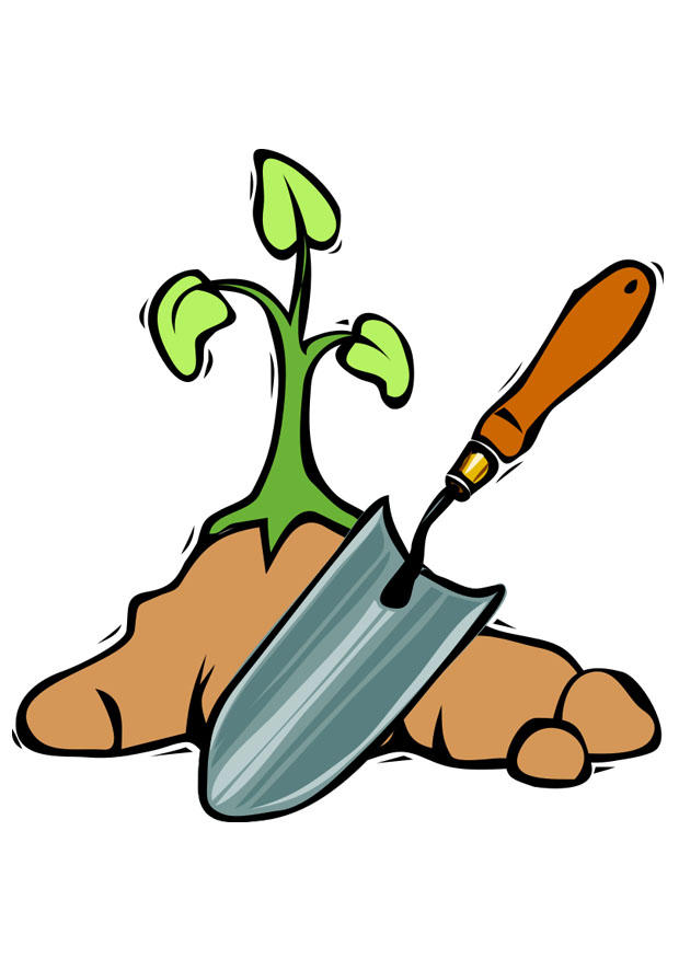 plantar uma A¡rvora imagem plantar uma A¡rvora