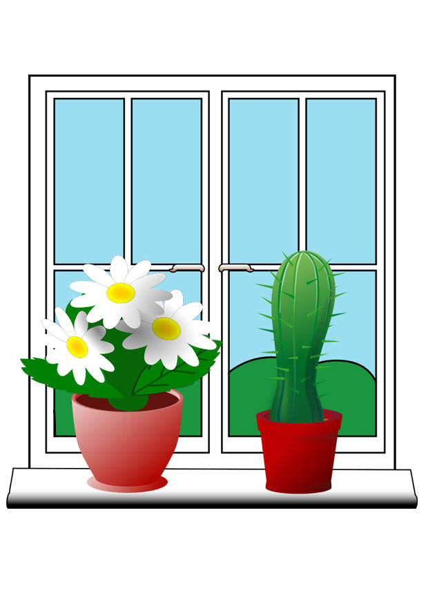 plantas imagem plantas