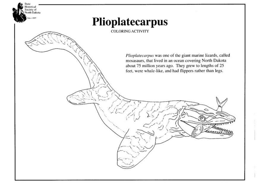 Página para colorir plioplatecarpo