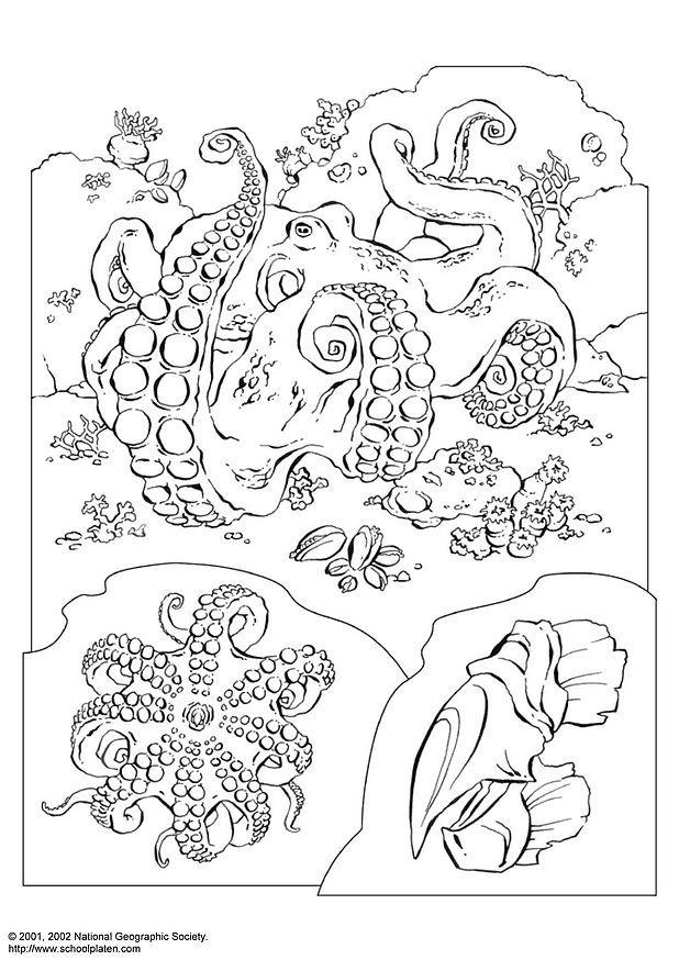 polvo Página para colorir polvo