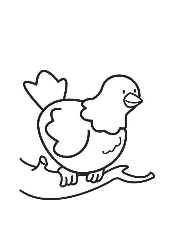 pombo Página para colorir pombo