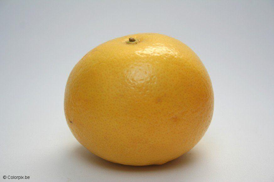 pomelo Foto pomelo