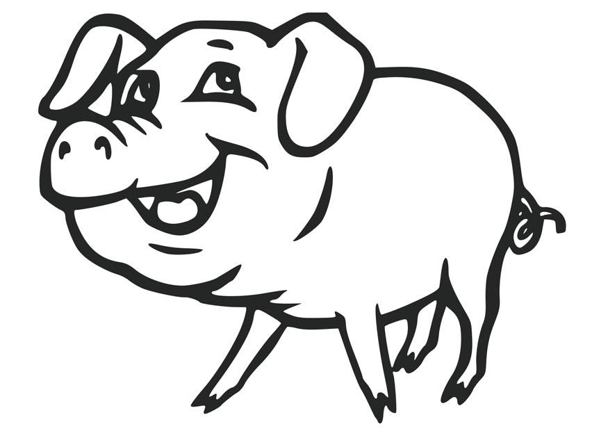 porco Página para colorir porco