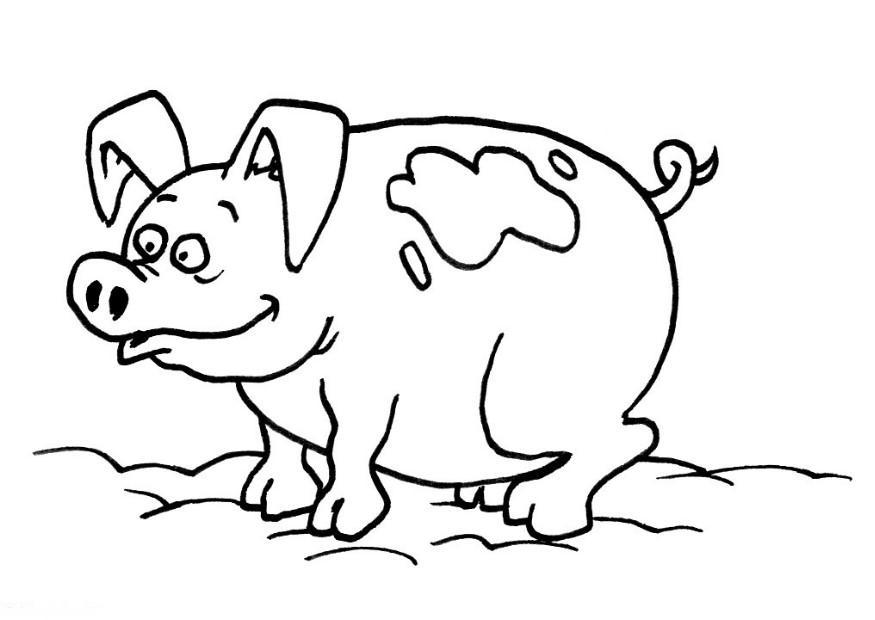 porco Página para colorir porco
